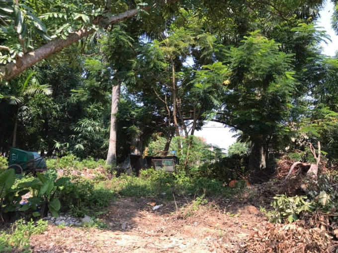 71483762_2294100057587371_817648033834467328_n