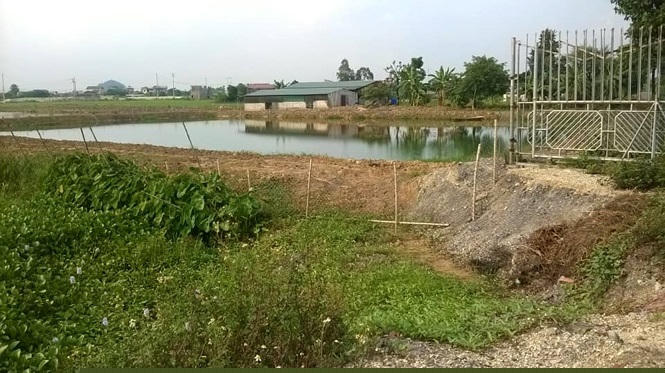 Yêu cầu tháo dỡ, san lấp trả lại nguyên trạng đất nông nghiệp.