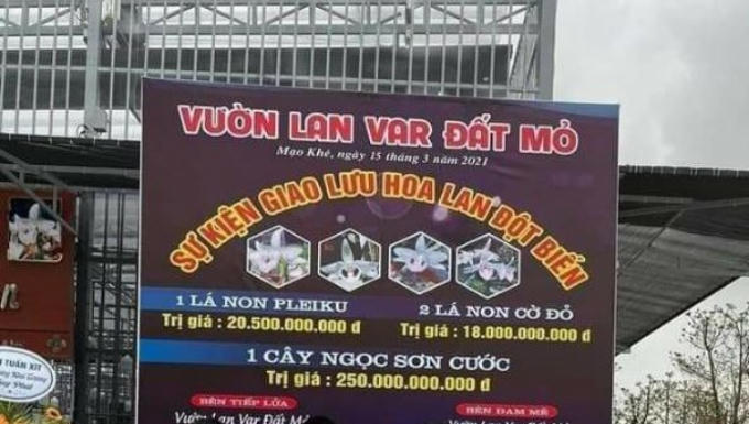 lan_1111