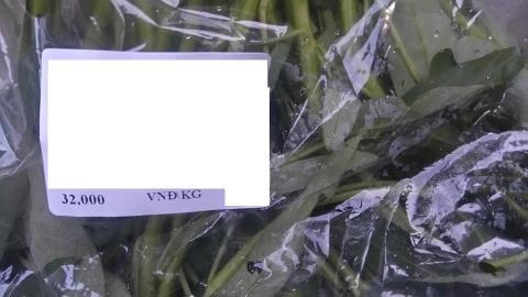 Giá những loại rau này thường đắt gấp nhiều lần giá thị trường. Ảnh: Hải Đăng