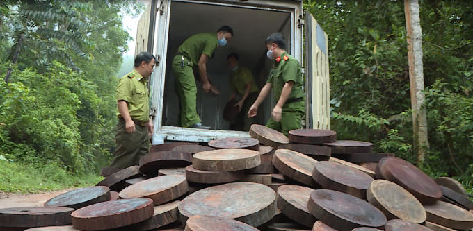 Xe tải và toàn bộ 278 thớt nghiến bị lực lượng chức năng tỉnh Hà Giang bắt giữ.
