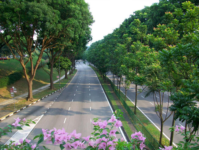 Luxury Park Views mang đến không gian sống xanh cho mọi cư dân