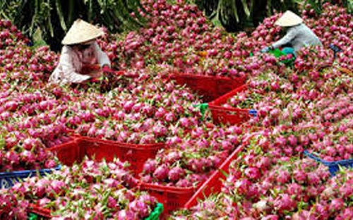Nhiều doanh nghiệp bị lừa đảo hàng trăm nghìn USD