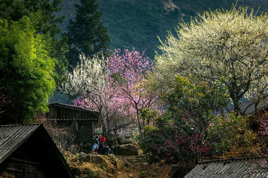 z5181826591671_29374811c064b81332017be89de3fd3b