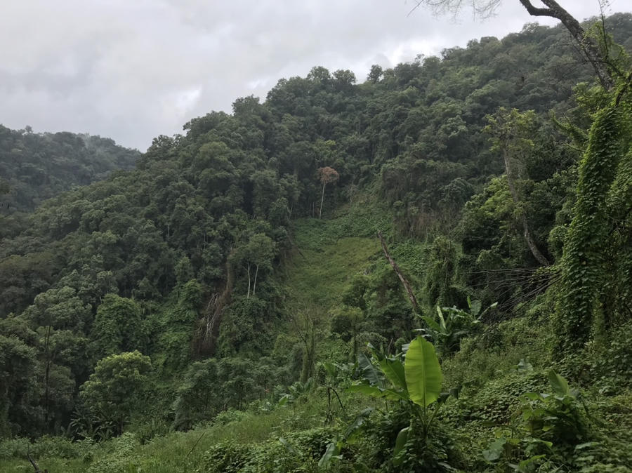 z4698543832232_27ab7904a43f2c023e975f648e8ec852