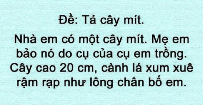 Tả cây mít.