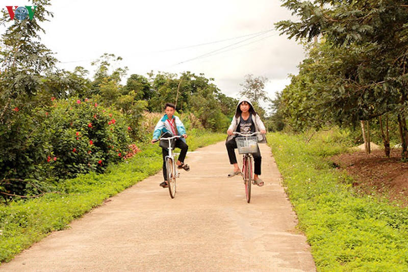 nguoi dan ngheo hien 26.000 m2 dat lam duong nong thon moi hinh 2