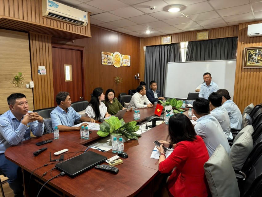 Đoàn thẩm định làm việc tại Công ty TNHH Sản xuất Thương mại Xây dựng Điện Bích Hạnh