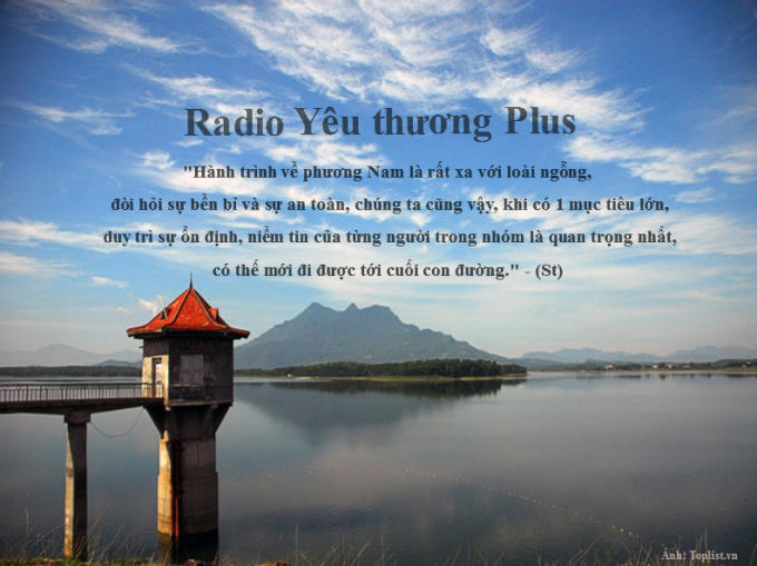 Radio Y&ecirc;u thương Plus số 96: B&agrave;i học từ lo&agrave;i ngỗng trời