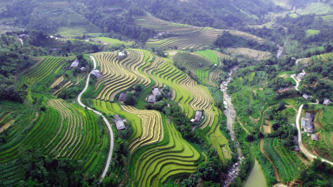 Ruộng bậc thang thôn Suối Thầu, xã Bản Luốc.