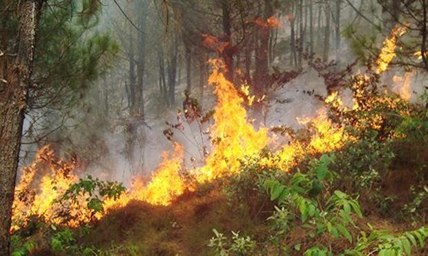 Cháy rừng dữ dội ở Khánh Sơn, Nam Đàn.