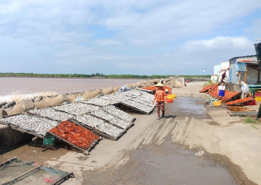 Cần nhiều chính sách hỗ trợ sinh kế để người dân ven biển Cà Mau phát triển bền vững.