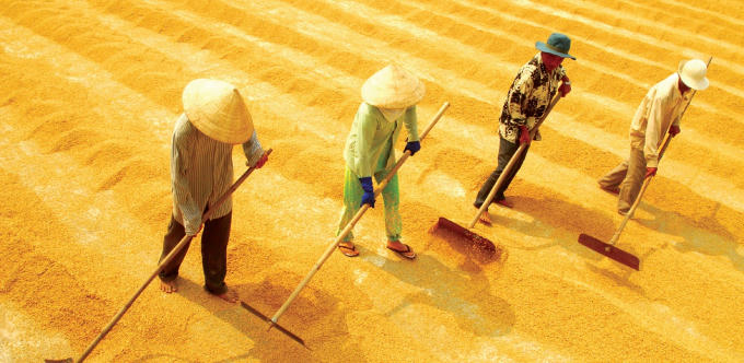 Ảnh: Theo Thời báo kinh doanh