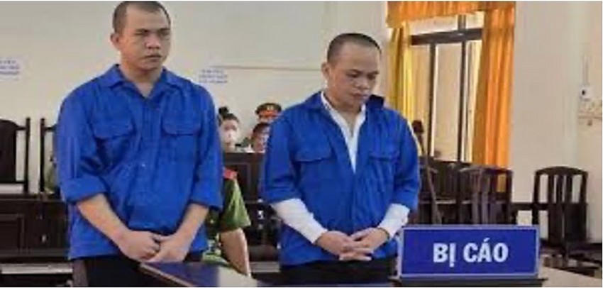 Bị can Tô Thanh Duy (SN 1985) và Tô Thanh Vũ (SN 1987) bị tuyên phạt lần lượt 7 năm 6 tháng tù và 7 năm tù về tội “Cản trở hoặc gây rối loạn hoạt động của mạng máy tính, mạng viễn thông, phương tiện điện tử” .