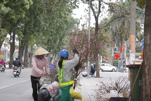 Một lao công dọn vệ sinh đường phố cho biết, năm nào cũng vậy, sau mỗi dịp tết chúng tôi đi dọn vệ sinh không xuể. Rác thải chất cao như núi, cành đào thì vứt la liệt khắp mọi nơi làm cho việc dọn vệ sinh gặp rất nhiều khó khăn.