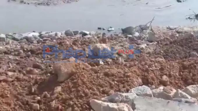 70580525_2269030540073679_3497315053642711040_n