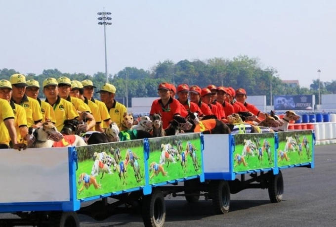 Khai trương trường đua 100 triệu USD của ông Dũng Lò Vôi.