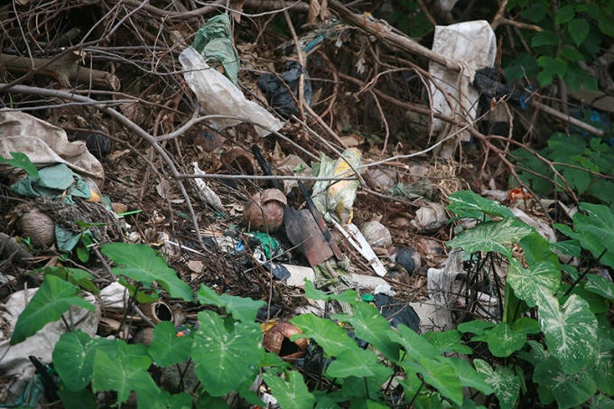 Mầm mống bệnh tật trong