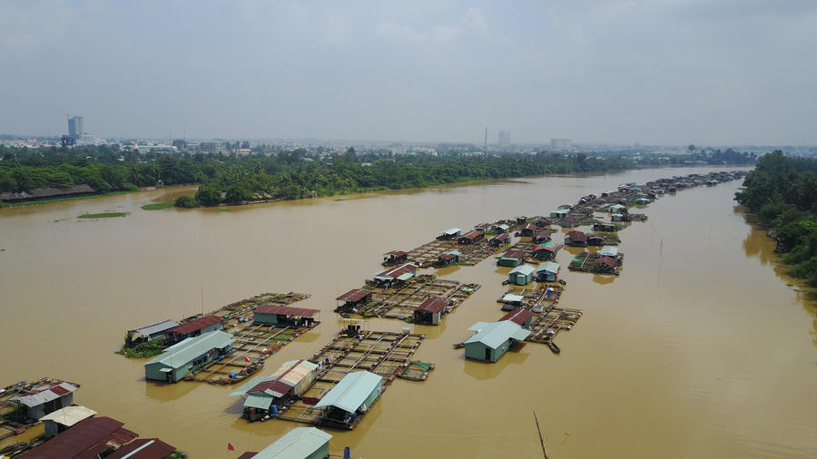 Các hộ nuôi cá khẩn trương di chuyển các lồng bè nuôi cá neo đậu vào các vị trí an toàn tránh tiếp tục bị thiệt hại.