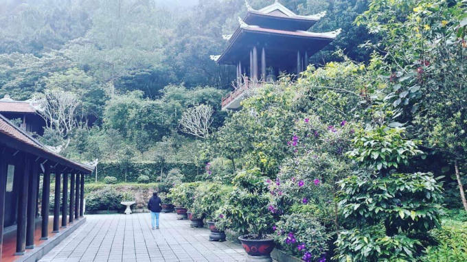 Huyền không giữa rừng hoa lá.