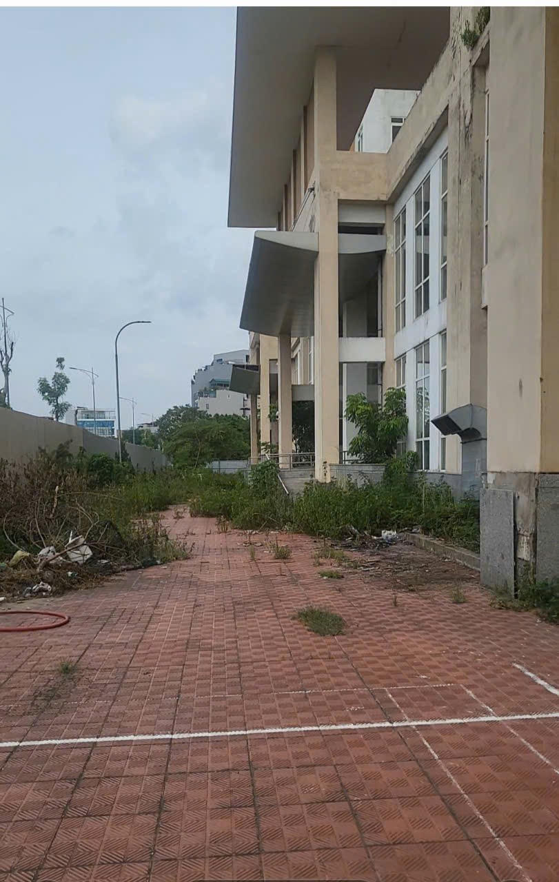 Cỏ mọc um tùm do không có người qua lại.
