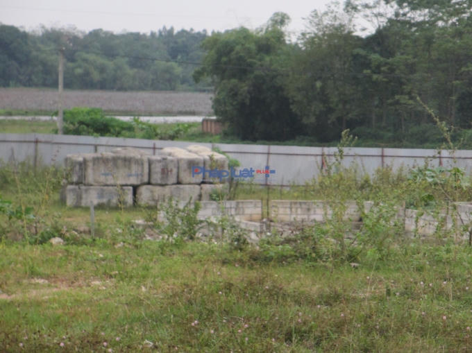 Một góc của dự án bỏ hoang, các khối bê tông ngổn ngang và cỏ mọc um tùm (Ảnh: Thu Hường)