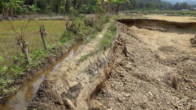 Bắc Kạn: Ph&aacute; n&aacute;t ruộng để khai th&aacute;c c&aacute;t tr&aacute;i ph&eacute;p