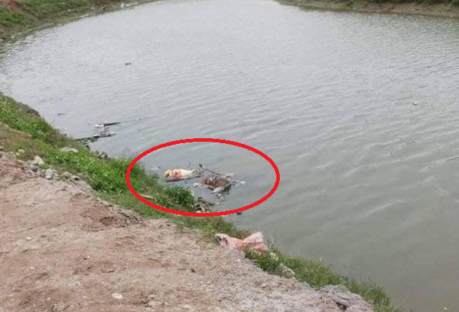 Khu vực phát hiện thi thể nạn nhân.