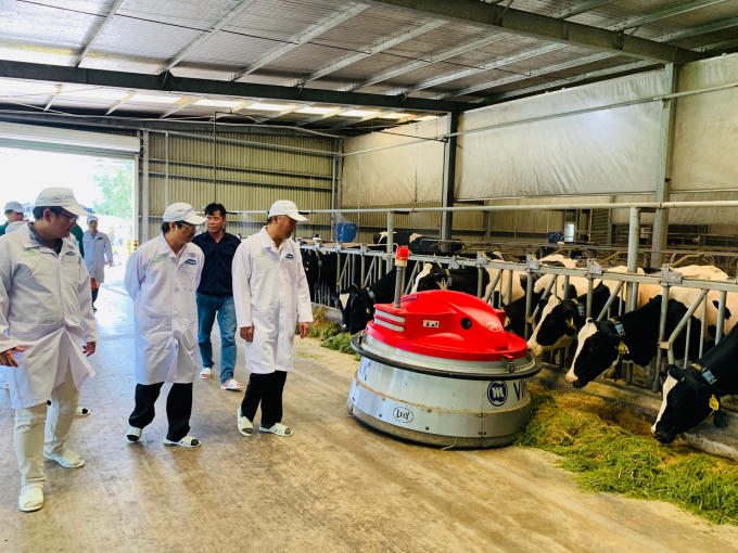 Ông Phùng Đức Tiến - Thứ trưởng Bộ NN & PTNT, ông Phạm Văn Đông – Cục trưởng Cục Thú y và đoàn công tác tham quan “Resort” bò sữa đạt chuẩn Global G.A.P của Vinamilk tại Tây Ninh.