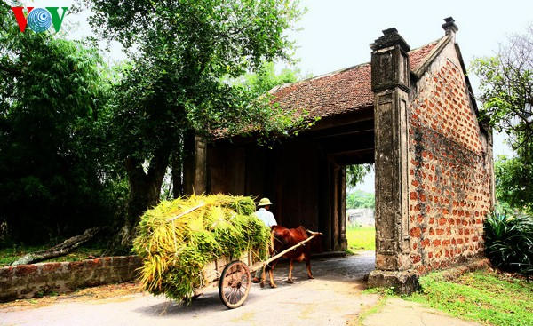 Anh260.