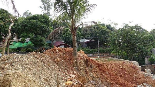Hiện trường vụ cưỡng chế không đúng luật khiến Chủ tịch UBND phường Đông Sơn phải bồi thường thiệt hại cho người dân.