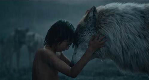 Mowgli bật khóc khi phải rời xa sói mẹ