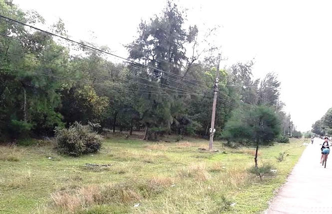 Làm rõ trách nhiệm vụ hàng chục lô đất 'vàng' ven biển cấp trái phép cho cán bộ - ảnh 1