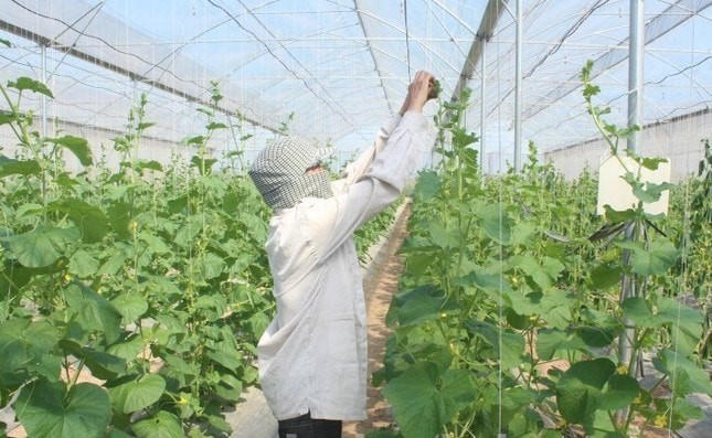 UBND TP Hà Nội đề xuất cho phép xây dựng công trình trên đất nông nghiệp để phục vụ sản xuất