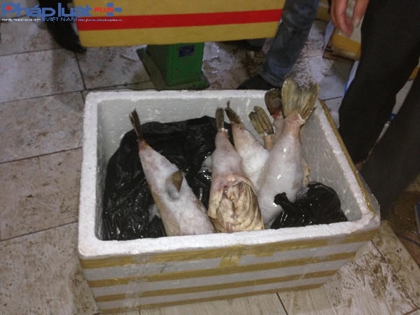 Một số loại hải sản đang trong quá trình hư hỏng, bị tịch thu