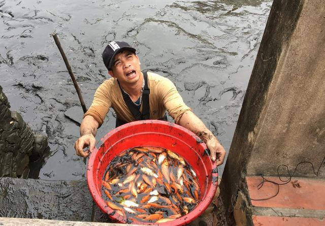 Đến hẹn lại lên, vào những ngày cận Tết ông Công, ông Táo, làng Tân Cổ, xã Quảng Tân lại nhộn nhịp với cảnh thu hoạch cá.