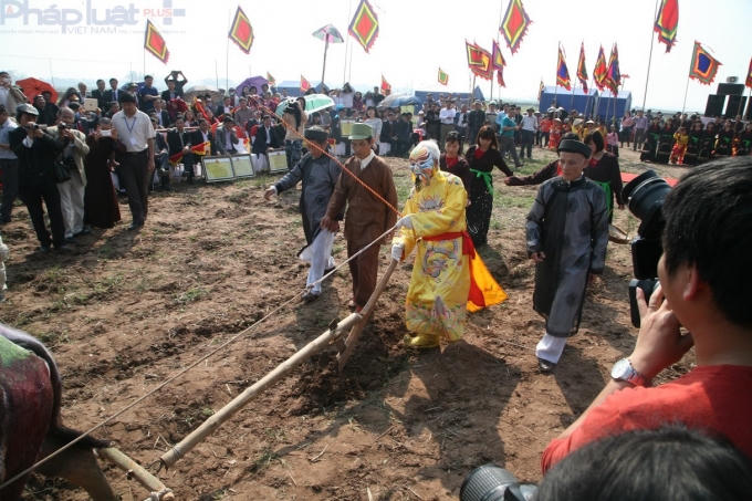 Vua là người xuống ruộng cày 3 sá ruộng đầu tiên.