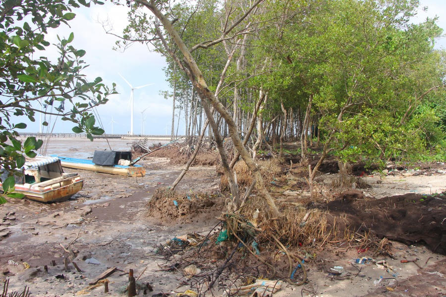 Đoạn tuyến đê biển Đông qua phường Hiệp Thành (tỉnh Cà Mau), giáp Cần Thơ, đã xảy ra sạt lở nghiêm trọng, gây thiệt hại lớn.
