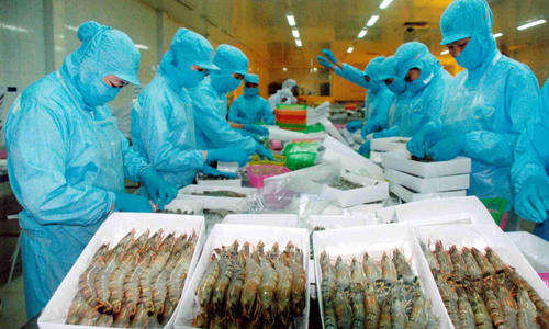 Tôm vẫn là mặt hàng thuỷ sản xuất khẩu mạnh nhất của Việt Nam.