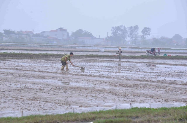 Một huyện ở Nam Định cấp sai sổ đỏ, giao đất đấu giá chậm quy định