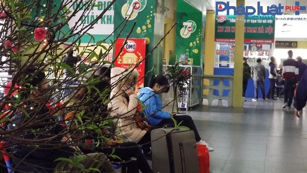 Sắc đào  cũng đã có mặt ở các bến xe, báo hiệu một mùa xuân mới đang về trên mọi nẻo đường đất nước.