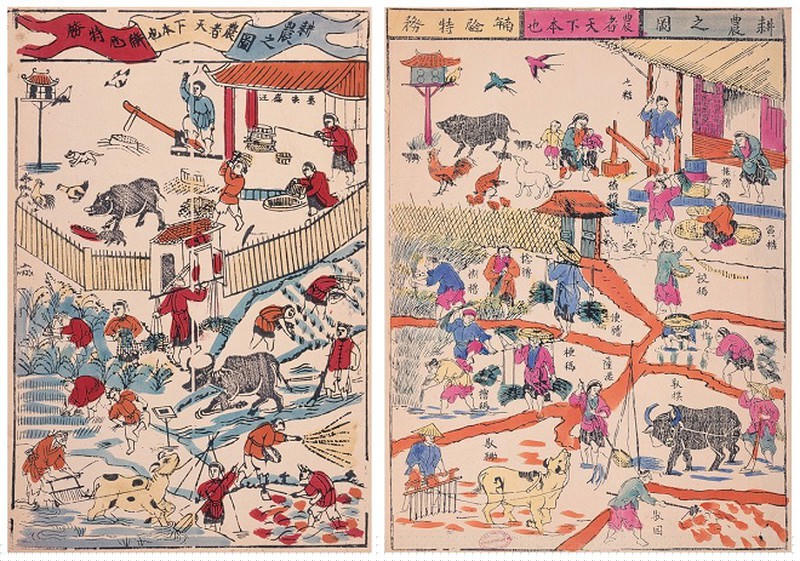 Từ xa xưa, trong đời sống của người dân luôn có sự đồng hành của con trâu.