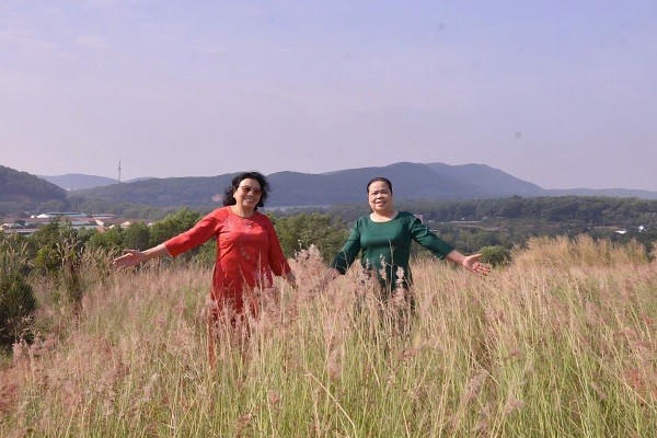 Đồi cỏ hồng thu hút mọi lứa tuổi.