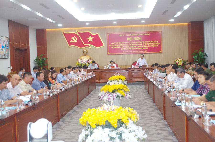 Ông Lê Văn Sử - Phó Chủ tịch UBND tỉnh Cà Mau, phát biểu tại Hội nghị.