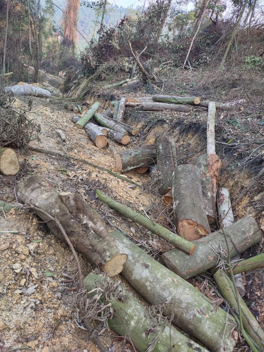 z4251797855221_3a0275161fdc5ea311e9e7c99deb55fb