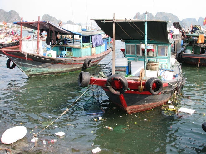 Mỗi ngày có hàng trăm lượt tàu bè ra vào bến cá Hạ Long, nhiều người xả rác thải trực tiếp xuống biển.