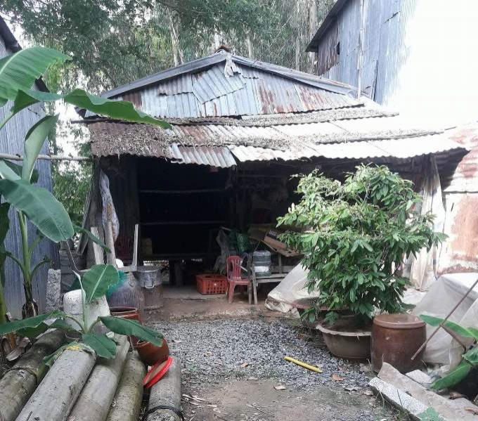Căn nhà của vợ chồng bà Phan Thị Nắng ọp ẹp cất nhờ trên đất của người khác.