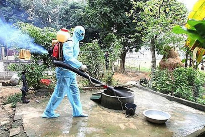 Anh250.