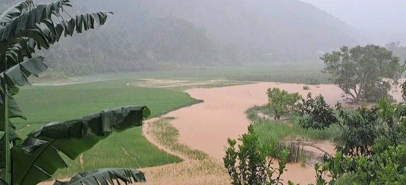 Nhiều cánh đồng lúa của tỉnh Lào Cai bị ngập do nước lũ. (Ảnh: TTXVN).