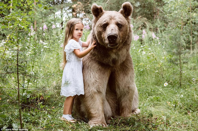 Gấu Stepan rất thích ở bên con người và thực sự là một chú gấu đáng yêu, theo lời những người đã chăm sóc chú từ khi còn bé, Stepan chưa bao giờ trở nên hung dữ khó kiểm soát. Họ chưa từng gặp phải một tai nạn hay vết thương dù nhỏ nào gây ra bởi Stepan.
